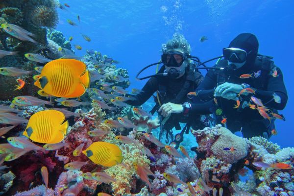Cleopatra Luxury Resort Sharm - Adults Only 16+ - All Inclusive