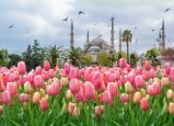 Великден в Истанбул - Фестивал на лалетата с автобус от София - 3 нощувки