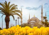 Фестивал на лалетата в Истанбул, Турция с автобус от София - 3 нощувки